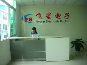 深圳市寶安區(qū)沙井飛星電子廠 數(shù)碼產品的創(chuàng)新與制造基地